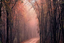 英超积分榜：利物浦11分领跑OR曼城重返前三？ 16队全白干_比赛_纽卡_诺丁汉森林.