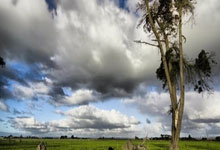 基德：库里是世界上最好的球员之一 我们在防守他时放松了.