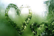 神十九航天员视频庆祝神舟一号发射成功25周年 致敬老一辈航天人.