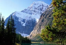 博狗体育：前11个月全国一般公共预算收入199010亿元.