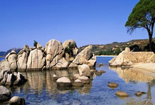 烏度卡指出三分球命中僅11中46 投籃精度亟需提升以減輕防守壓力.